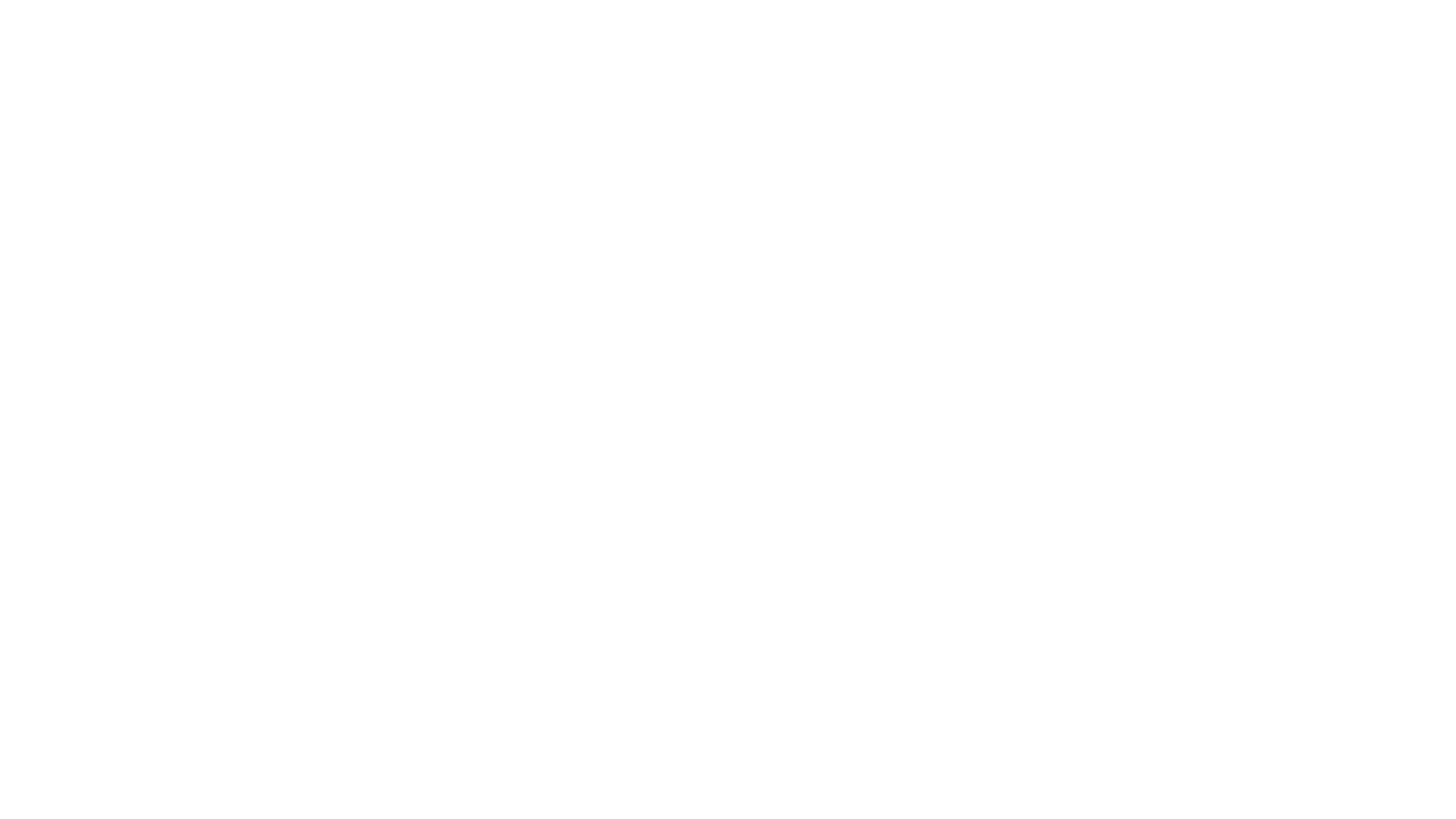 The Final Reich